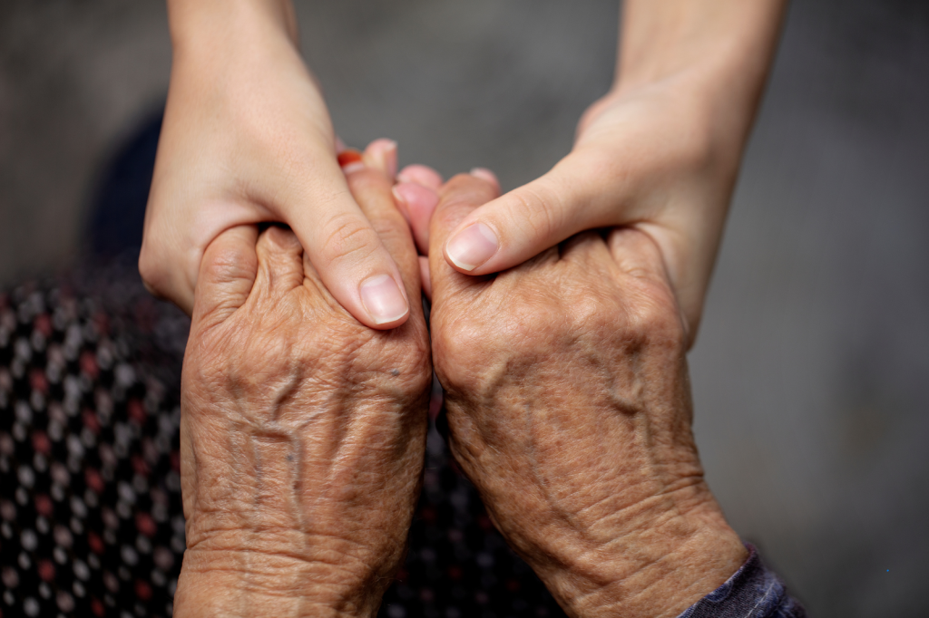 What Happens When an Elderly Person Can No Longer Manage Daily Activities Alone? A Practical Guide for Families